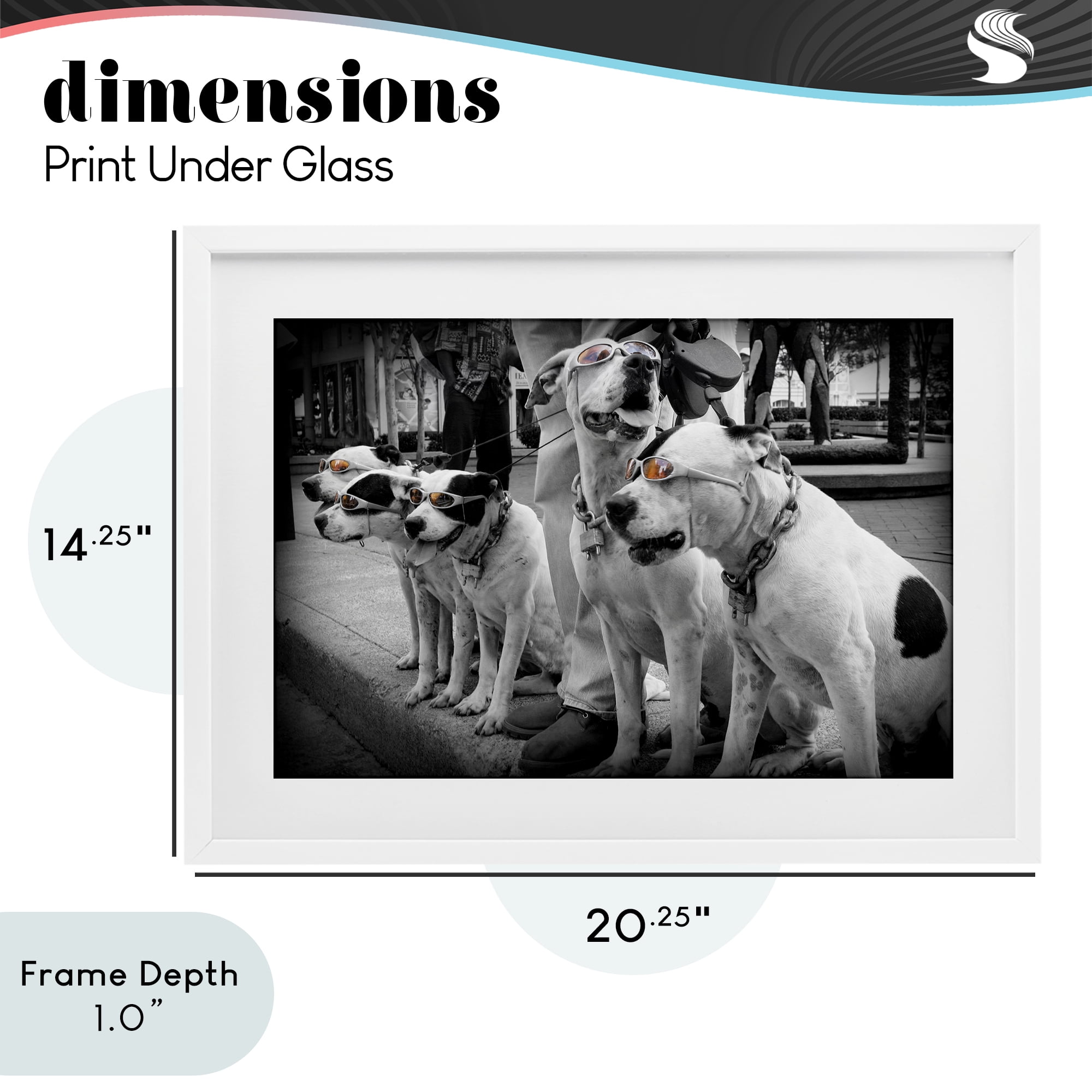 Stupell Industries Afternoon Stroll Pups White Framed Print Under Glass, design by Scott Henderson