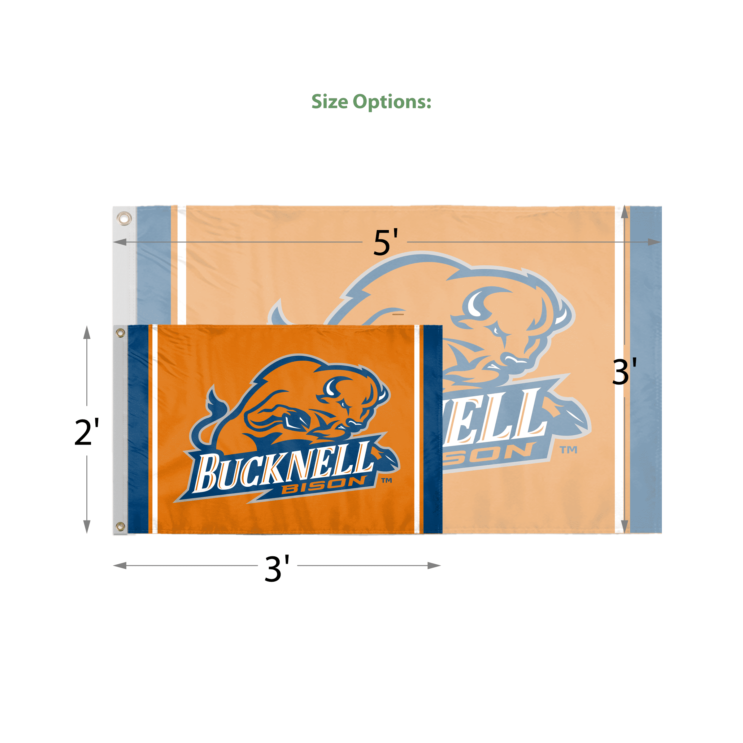 AGAS 3' x 5' Bucknell Bisons Logo Outdoor Flag, Single-Reverse Print with Brass Grommets