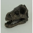 thumbnail image 2 of Velociraptor Dinosaur Head Fossil Statue Small 6.25 Inches Long, 2 of 4