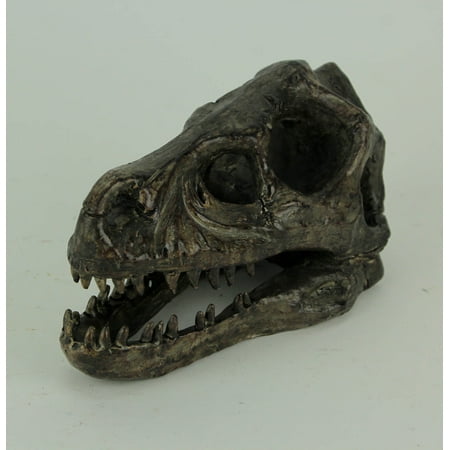 Velociraptor Dinosaur Head Fossil Statue Small - Walmart.com - Walmart.com