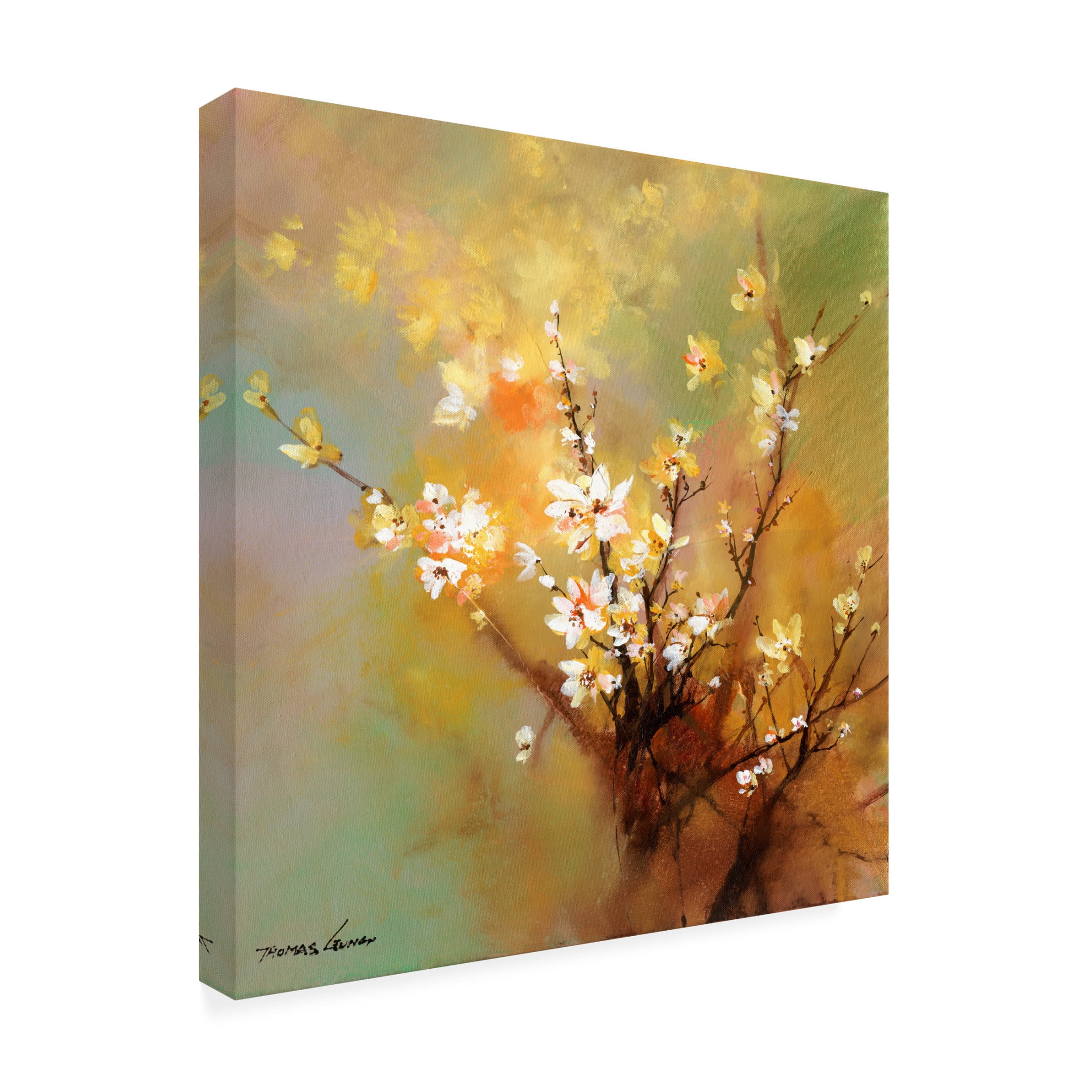 Canvas Wall Art - Thomas Leung 'Flower In Dream' Wall Art for Living Room, Bedroom, or Office Décor by Trademark Fine Art - 18 x 18 Inches