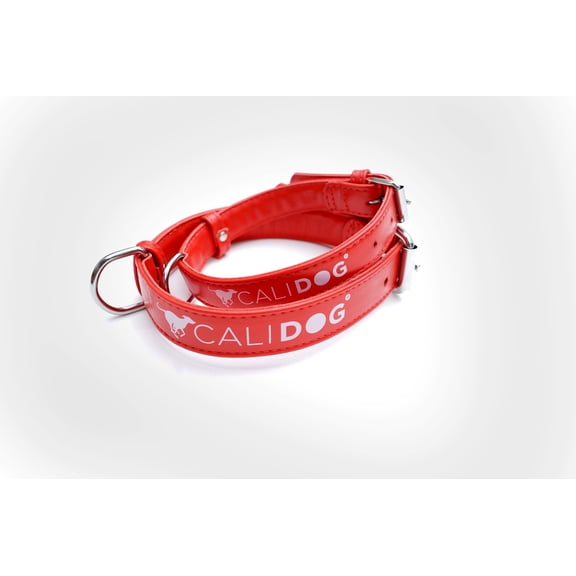 Deluxe Red Leather Dog Collar