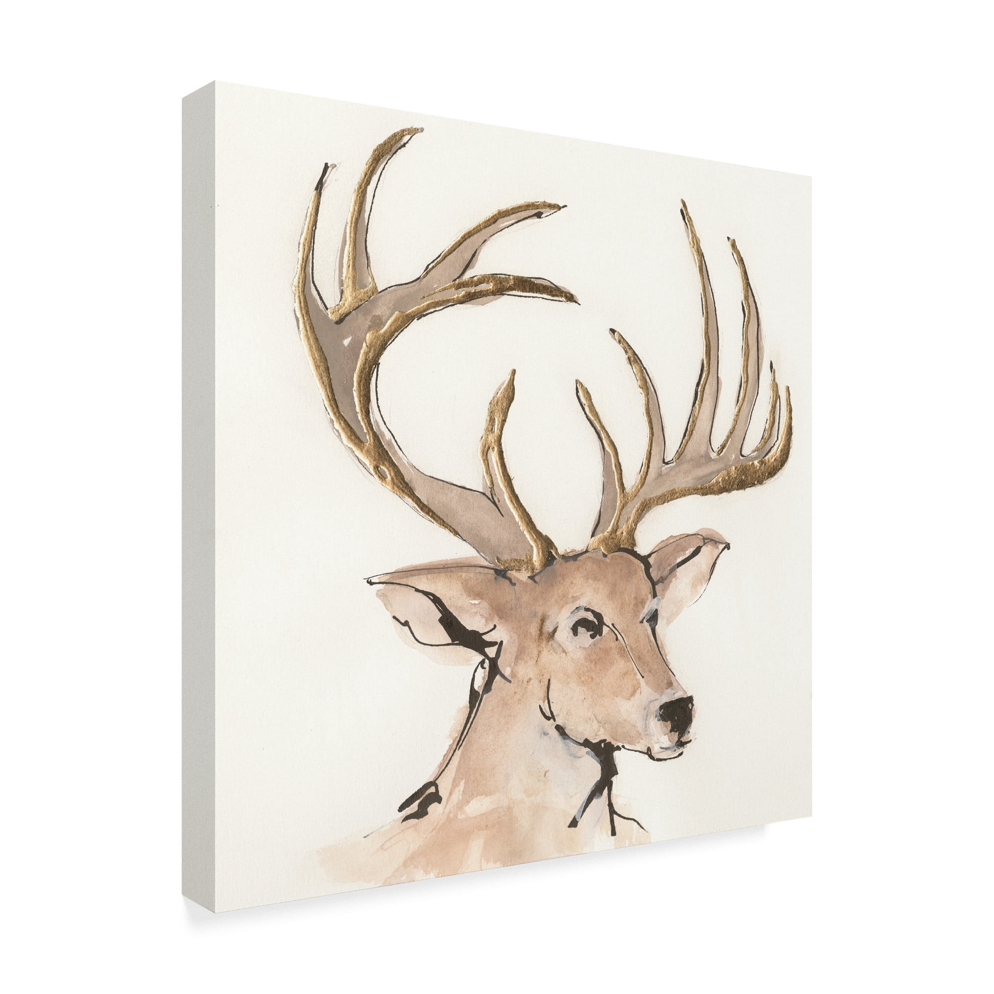Trademark Fine Art 'Gilded Mule Deer' Canvas Art by Chris Paschke