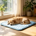 thumbnail image 3 of Pet Cooling Mats for Dogs, Cooling Pet Bed Outdoor & Indoor Use Summer Cover, Summer Cool Pad for Dogs Cats, Non- Washable Pet Blanket for Crate Kennel Travel, M (24.41"L x 19.69"W), 3 of 7