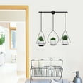 thumbnail image 5 of FeiFu Modern Metal Wall Planter Hanging System Indoor Plant Display Art Decor Ceiling Mounted Flower Pot Holders Contemporary Home Green Vertical Garden, 5 of 5