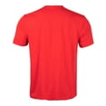 thumbnail image 3 of Men's Levelwear Red Carolina Hurricanes Richmond Ice Wall T-Shirt, 3 of 3