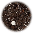 thumbnail image 3 of Gardenera Labs Professional Succulent Soil Premium All Purpose Blend | Pre-Mixed Ready to Use for Cactus and Succulents | Sphagnum Peat Moss, Perlite, New Zealand Pine Bark - Made in USA - 4 Quart, 3 of 8