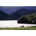 thumbnail image 1 of Posterazzi DPI1829285 Cheval & Buggy par Waterfront Affiche Imprimée par Gareth McCormack, 18 x 12, 1 of 1