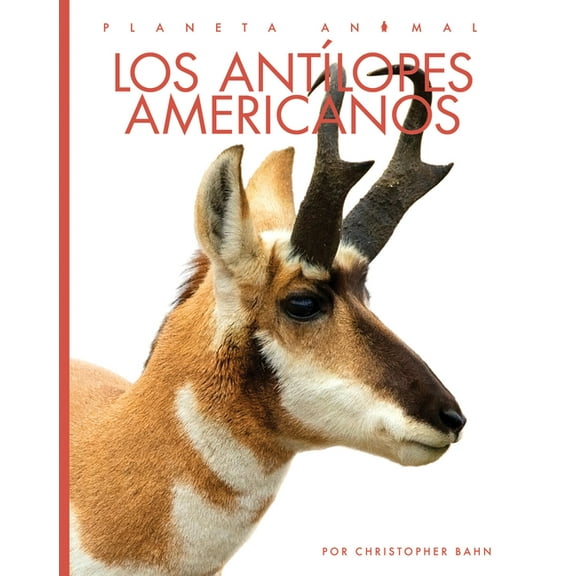 Los Antilopes Americanos, (Paperback)