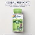 thumbnail image 3 of Suplemento Solaray Astragalus 100 cápsulas paquete de 4, 3 of 6