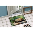 thumbnail image 4 of Carolines Treasures DAC2998JMAT 0.15 x 24 x 36 in. Turtles Tortoises Rectangle Doormat, 4 of 5
