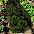 thumbnail image 3 of Grow Tunnel Garden Insect Barrier Net Plants Protective Anti Bird Mesh Garden Netting, 3 of 8