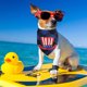 thumbnail image 5 of Alguien le dio a mi papá una bufanda de perro de cerveza bufanda conjunto de bufanda babero perro gato mascota animal MFZFUKR CPB-US-YY806-3, 5 of 5
