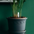 thumbnail image 5 of KAKOWELY water level indicator 2pcs Tank Water Level Indicator Indoor Plant Needs Water Indicator Plants Water Level Indicator Potted Plants Water Indicator, 5 of 5