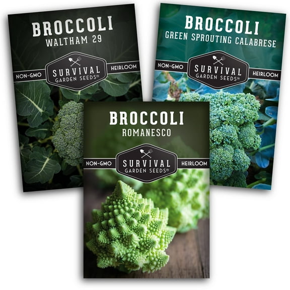 3 Broccoli Collection - Non-GMO Heirloom Full Sun Biennial Vegetable Seeds