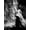 Unframed, variant on Art.com La Dolce Vita, Anita Ekberg, 1960 Photo, 12" x 16"