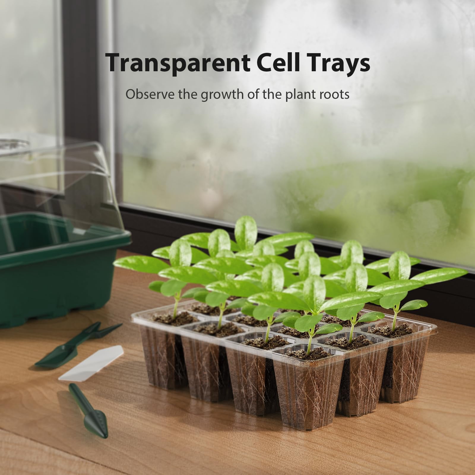 Seed Starter Tray,with Heightened Lids,Indoor Gardening Plant Germination Trays (12 Cells) 10PCS