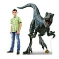 thumbnail image 4 of Cardboard People Blue Life Size Cardboard Cutout Standup - Jurassic World Dominion (2022 Film), 4 of 5