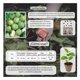 thumbnail image 3 of Semillas Tomate Verde Vita, 3 of 5