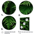 thumbnail image 3 of Designart "Verdant Abundance Ferns Plant wall decor I" Floral & Botanical Floater Framed Wall Art Living Room, 3 of 7