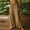 Khaki, variant on LEBONYARD Yoga Pants Women,Women's Casual Loose Linen Solid Color Casual Trousers Khaki S