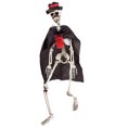 thumbnail image 1 of Halloween Skeleton Plastic Skeleton Hanging Decoration Halloween Party Decoration, 1 of 9