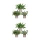 thumbnail image 1 of Matsuzay 3 unids/set belleza de la naturaleza en interiores con pequeñas plantas artificiales de eucalipto decoración del hogar de bajo TZ055 2Conjunto, 1 of 6