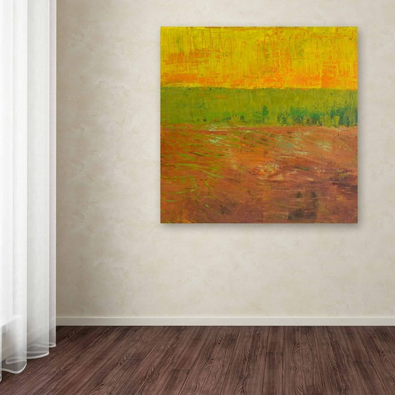 Trademark Fine Art "Highway Series Soil" Canvas Art by Michelle Calkins