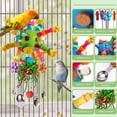 thumbnail image 3 of Cucharas de acero inoxidable Parrot Toys YIXUND para loros, 3 of 7