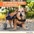 thumbnail image 3 of Walkin' Wheels Dog Wheelchair - Vet Approved - Small Dogs 11-25 Pounds, 3 of 7