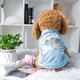 thumbnail image 2 of Camiseta para Mascotas Primavera Ropa para Cachorros Pequeños Gato Vestido de Vestir Estilo Rayas,#16,L, 2 of 7