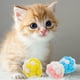 thumbnail image 5 of KAKOWELY 3 pelotas de peluche para gatos, juguete de autodiversión para gatos, juguete masticable para gatos, pelota masticable para gatos con campana, 5 of 5