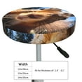 thumbnail image 4 of Balery Close-Up Curious Squirrel Round Bar Stool Seat Covers Velvet Fabric Adjustable Protects from Scratches and Stains for 14-17 Inch Chair-14 inch, 4 of 7