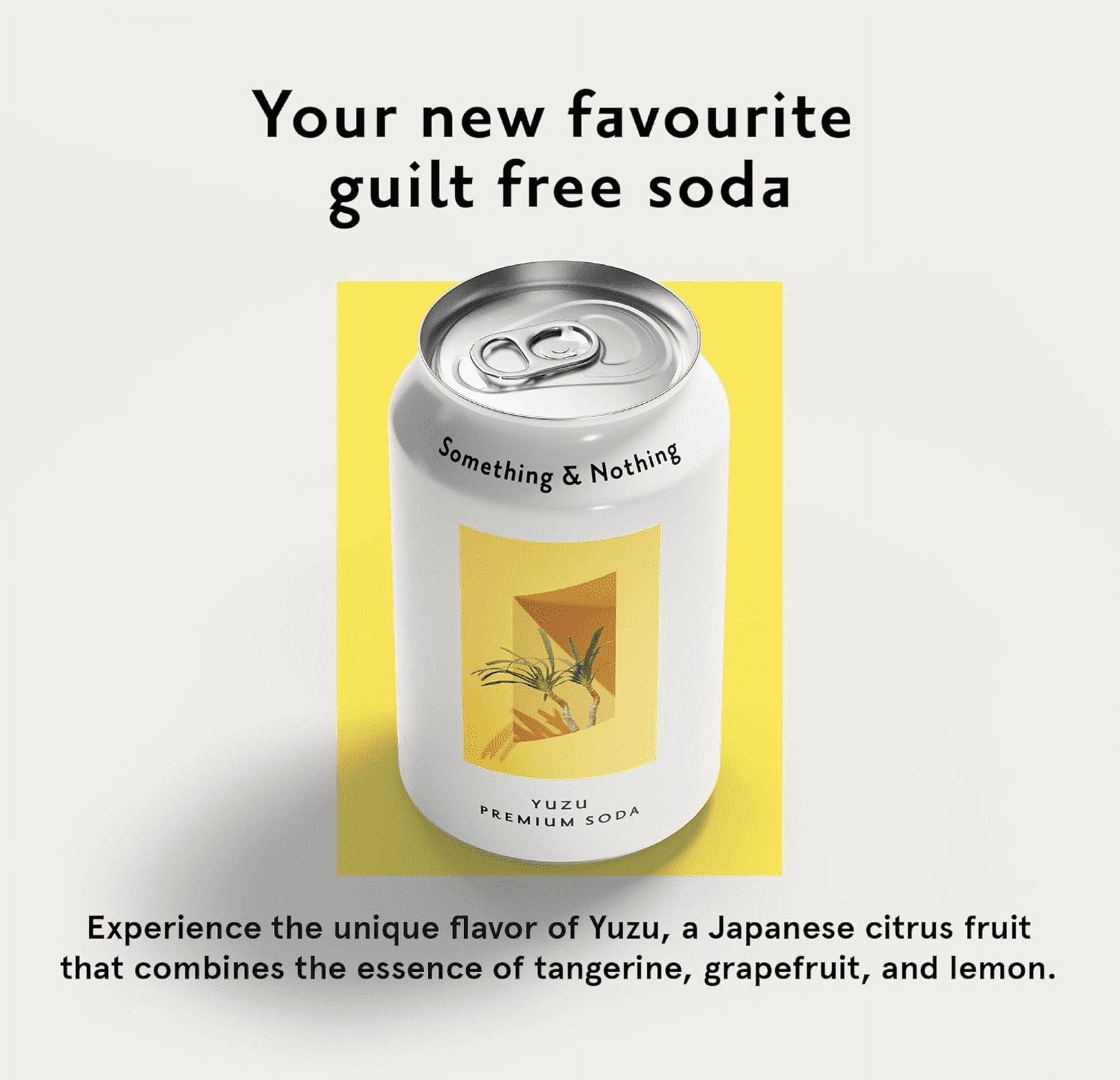 Something & Nothing Lightly Carbonated Yuzu Premium Soda Case of 12 x 12 Fl Oz