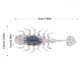 thumbnail image 4 of Señuelo Suave para Pesca Con Flotador 5cm Cola Paleta Swimbaits Lubina (oscuro) Azul, 4 of 4