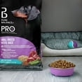 thumbnail image 3 of Pure Balance Pro+ Small Breed, Lamb & Rice Recipe Dry Dog Food 3.5KG, 3 of 8