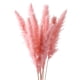 thumbnail image 1 of 15 piezas de ramo de flores de Phragmites secas para arreglos florales para jarrones y decoración de mesa Rosa, 1 of 9