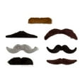 thumbnail image 2 of Character Goods - Archie McPhee - Stylish Mustaches New 10484, 2 of 3