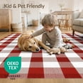 thumbnail image 4 of ODIKA Plaid Farmhouse Gingham Checkered Tartan Border Striped Front for Dorm Room, Small Living Apartment, Stain Resistant Low Profile, 4 of 7