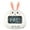 WH3, variant on Binwennn Temperature Gauge Cartoon Animal Countdown Timer Cow Digital Cooking Timer With Stand For Cooking Bake Timer Kitchen