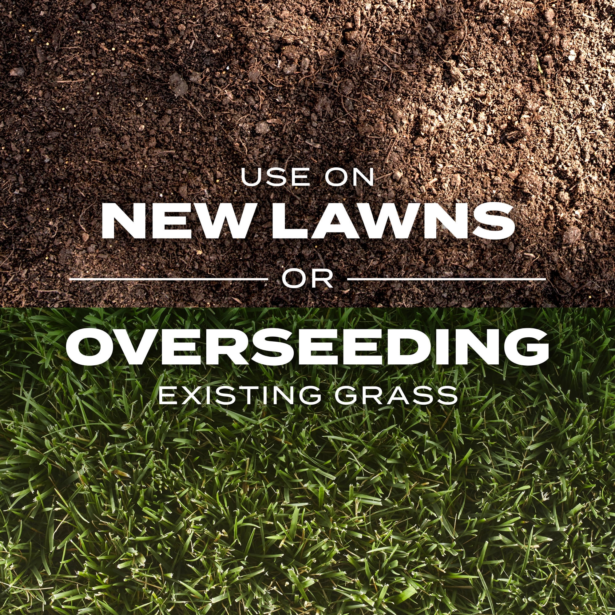Scotts Turf Builder Rapid Grass Tall Fescue Mix, Grass Seed and Fertilizer, 2.4 lbs.