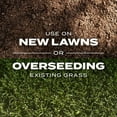 thumbnail image 4 of Scotts Turf Builder Rapid Grass Tall Fescue Mix, Grass Seed and Fertilizer, 2.4 lbs., 4 of 9