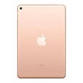 thumbnail image 2 of Restored 2019 Apple iPad mini Wi Fi+Cellular 256 GB Gold (5th Generation) (Refurbished), 2 of 2