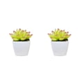 thumbnail image 1 of Bewildely Simulación de plantas artificiales suculentas, Mini maceta de bonsái de imitación, flores falsas, maceta decorativa para jardín, Type2 NO2, 1 of 6