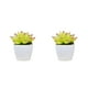 thumbnail image 3 of Advancent Simulación de suculentas, Mini maceta para bonsái, flores falsas, maceta decorativa para el hogar, , jardín, boda, sala de estar, tipo3 2Conjunto, 3 of 6