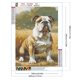 thumbnail image 2 of Pintura De Diamante 5D DIY Kit De Cachorro De Taladro Redondo Completo Decoración Del Hogar 30x40cm, 2 of 9