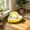 Yellow, variant on zhonghuaying Triangular Corner Small Animal Waste Pan, Split Layer Grid Design Pet Waste Tray, Side Hook Fixed Potty Station for Rabbit Hamster Tiny Small Companion Animals Blue