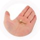 thumbnail image 5 of unbranded 8Ud Cubretornillos Decorativos De Latón Dorado Con Tornillos Autorroscantes Incluidos, 5 of 8