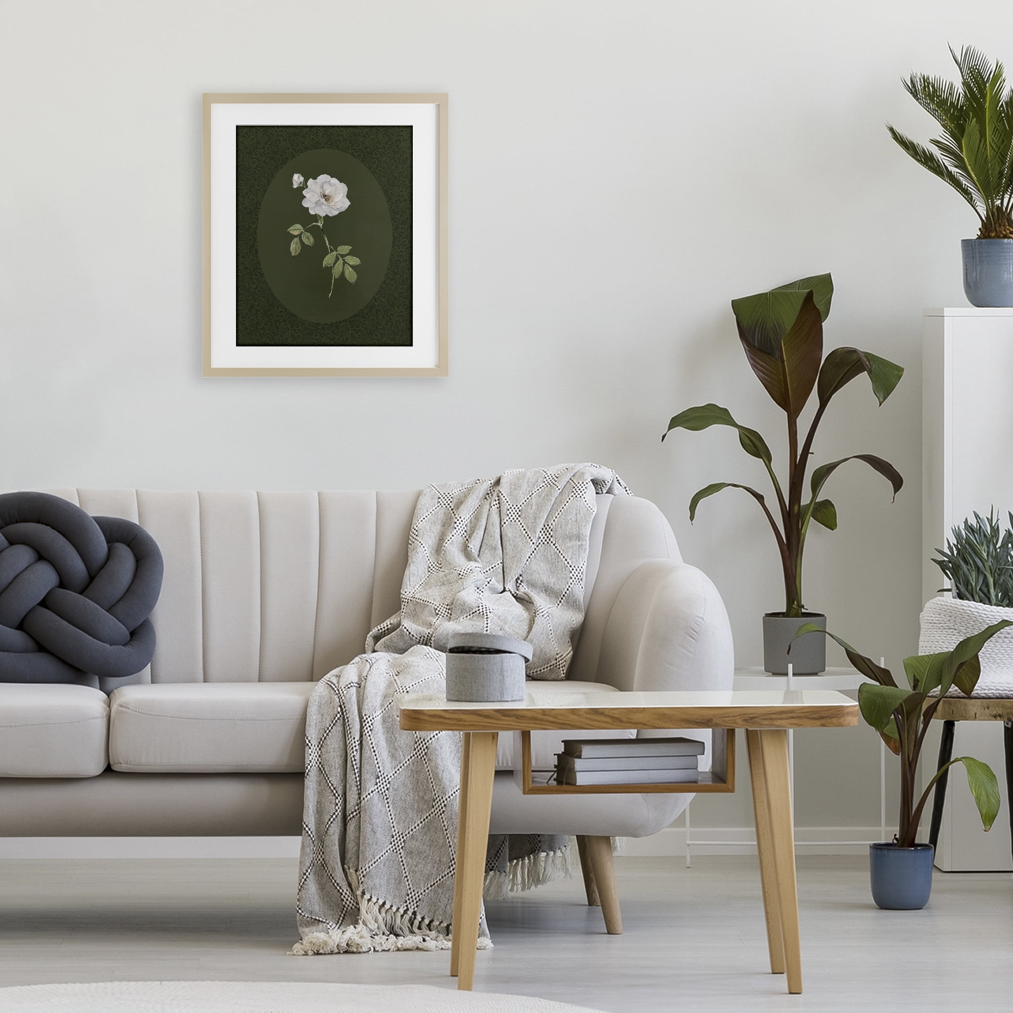 Stupell Industries White Rose on Emerald Birch Framed Print Under Glass, design by Sally Swatland