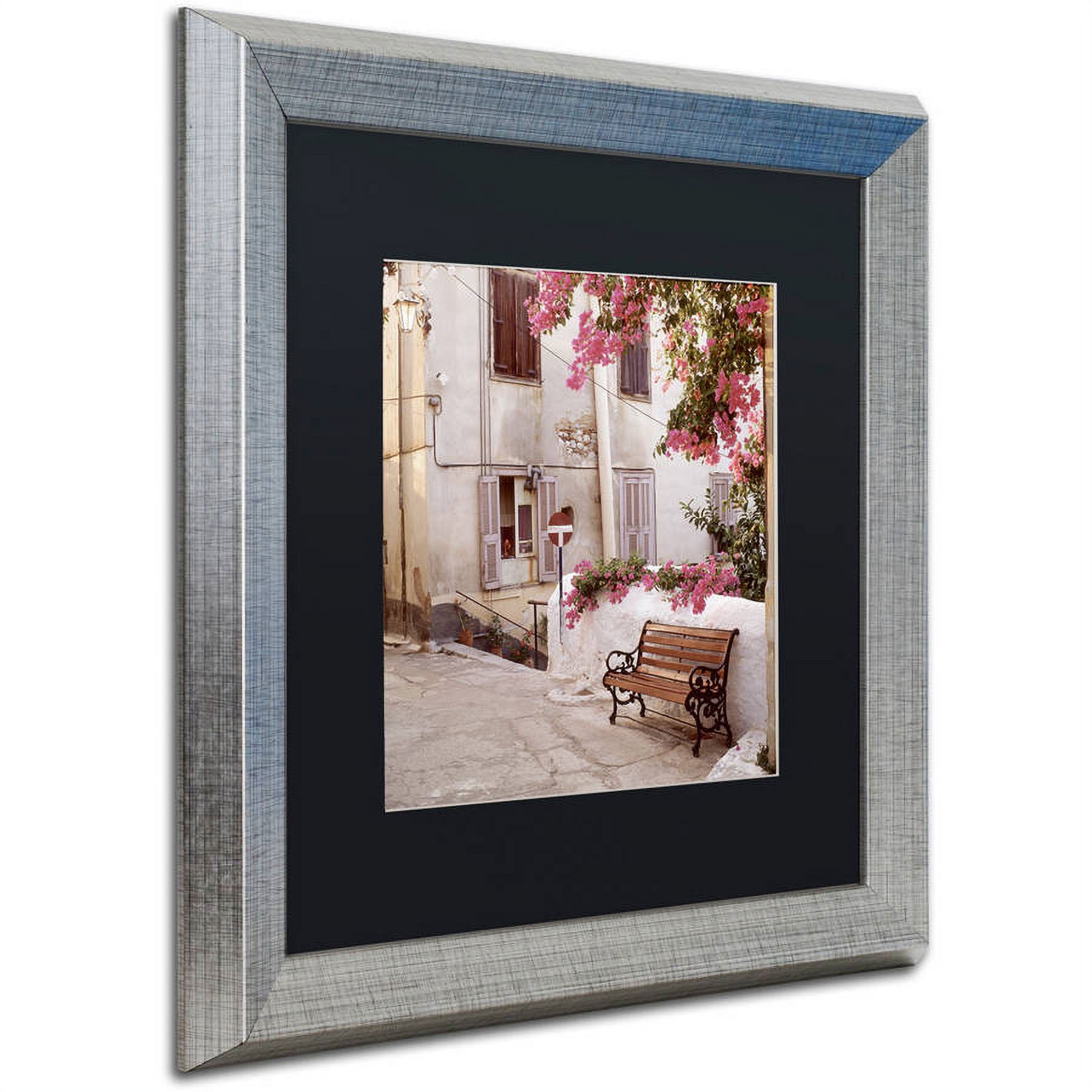 Trademark Fine Art "Provence I" Canvas Art by Alan Blaustein, Black Matte, Silver Frame